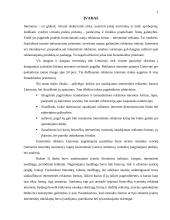 Internetinė reklama Lietuvoje 3 puslapis