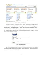 Internetinė sprendimų parama: nekilnojamasis turtas 13 puslapis