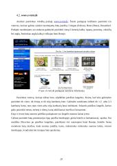 Internetinė sprendimų parama: nekilnojamasis turtas 20 puslapis