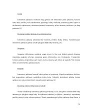 Internetinių apklausų ypatumai 14 puslapis