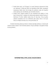 Internetinių apklausų ypatumai 17 puslapis