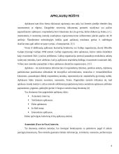 Internetinių apklausų ypatumai 4 puslapis