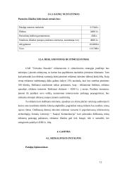 Internetinių paslaugų marketingo planas: UAB "Virtualus pasaulis" 12 puslapis