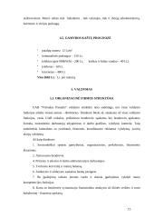 Internetinių paslaugų marketingo planas: UAB "Virtualus pasaulis" 15 puslapis