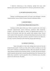 Internetinių paslaugų marketingo planas: UAB "Virtualus pasaulis" 16 puslapis