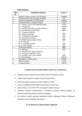 Internetinių paslaugų marketingo planas: UAB "Virtualus pasaulis" 19 puslapis