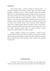 Internetinių paslaugų marketingo planas: UAB "Virtualus pasaulis" 3 puslapis