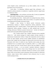 Internetinių paslaugų marketingo planas: UAB "Virtualus pasaulis" 4 puslapis