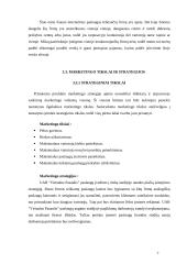 Internetinių paslaugų marketingo planas: UAB "Virtualus pasaulis" 7 puslapis