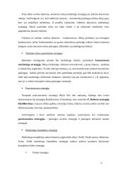 Internetinių paslaugų marketingo planas: UAB "Virtualus pasaulis" 9 puslapis