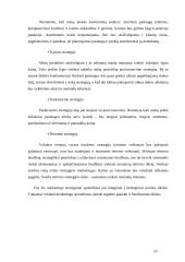 Internetinių paslaugų marketingo planas: UAB "Virtualus pasaulis" 10 puslapis