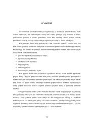 UAB "Virtualus pasaulis" marketingo planas 12 puslapis