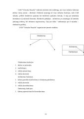 UAB "Virtualus pasaulis" marketingo planas 14 puslapis