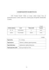 UAB "Virtualus pasaulis" marketingo planas 15 puslapis