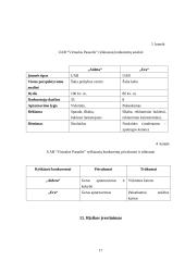 UAB "Virtualus pasaulis" marketingo planas 17 puslapis