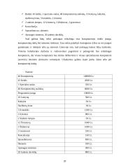 UAB "Virtualus pasaulis" marketingo planas 20 puslapis