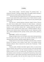 UAB "Virtualus pasaulis" marketingo planas 3 puslapis