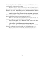 UAB "Virtualus pasaulis" marketingo planas 4 puslapis