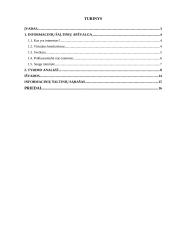 Interneto svarba ir vieta gyvenime 2 puslapis