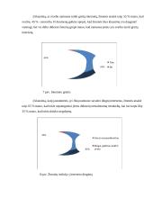 Interneto svarba ir vieta gyvenime 11 puslapis