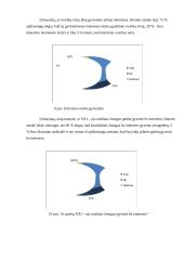 Interneto svarba ir vieta gyvenime 12 puslapis