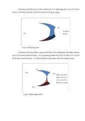 Interneto svarba ir vieta gyvenime 13 puslapis