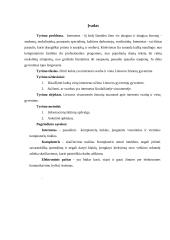 Interneto svarba ir vieta gyvenime 3 puslapis