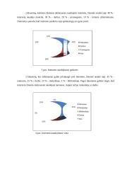 Interneto svarba ir vieta gyvenime 9 puslapis