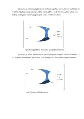 Interneto svarba ir vieta gyvenime 10 puslapis