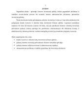 Investicijos ir investavimo sąlygos Lietuvoje 2 puslapis