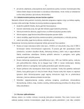 Investicijos ir investavimo sąlygos Lietuvoje 11 puslapis