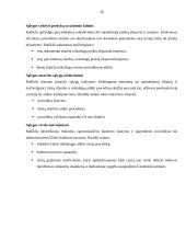Investicijos ir investavimo sąlygos Lietuvoje 20 puslapis