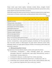 Investicijos ir investavimo sąlygos Lietuvoje 10 puslapis