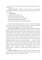 Investicinio portfelio formavimas 2 puslapis