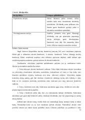 Investicinio portfelio formavimas 13 puslapis