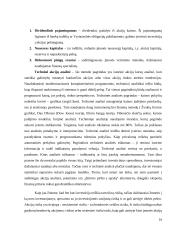 Investicinio portfelio formavimas 16 puslapis