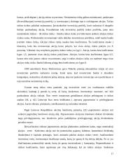 Investicinio portfelio formavimas 17 puslapis