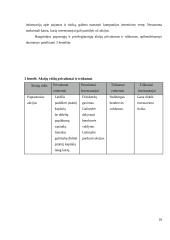 Investicinio portfelio formavimas 18 puslapis