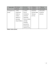 Investicinio portfelio formavimas 19 puslapis