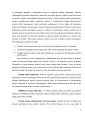 Investicinio portfelio formavimas 6 puslapis