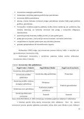 Investicinio portfelio formavimas 10 puslapis