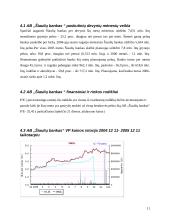 Investicinio portfelio sudarymas 11 puslapis
