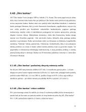 Investicinio portfelio sudarymas 15 puslapis
