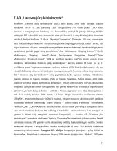 Investicinio portfelio sudarymas 17 puslapis