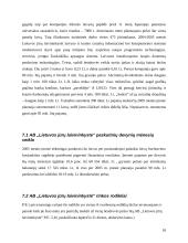 Investicinio portfelio sudarymas 18 puslapis