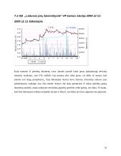 Investicinio portfelio sudarymas 19 puslapis