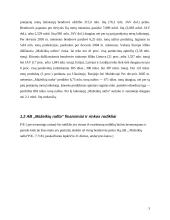Investicinio portfelio sudarymas 3 puslapis