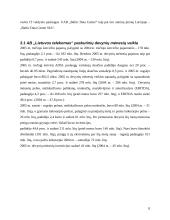 Investicinio portfelio sudarymas 8 puslapis