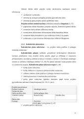 Investicinio projekto rengimas ir vertinimas 11 puslapis