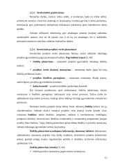 Investicinio projekto rengimas ir vertinimas 12 puslapis